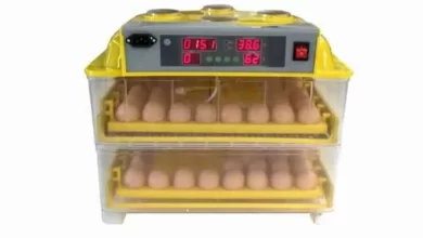 5 Top Quail Egg Incubator