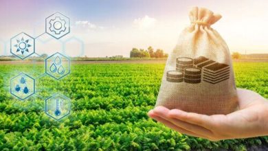 Agrotech Startups Thriving with Support from Agricultural Banks 