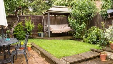 Best Ways To Renovate Your Yard On A Budget 