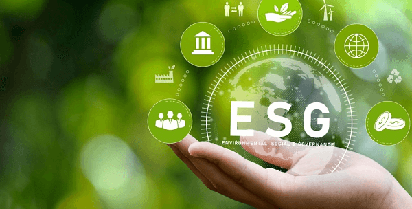 Building a Culture of Sustainability: Embracing ESG Principles for Success 