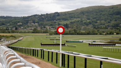 Cheltenham Festival: Analysing the Gold Cup ante-post market