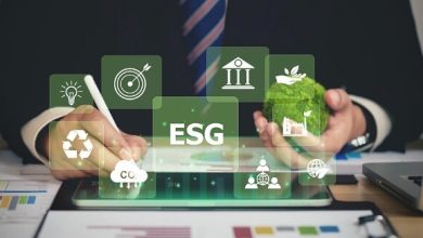 ESG Principles: Driving Success Through Sustainability and Social Responsibility 