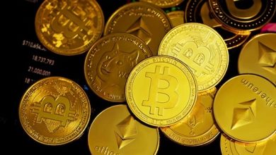 Everything on Bitcoin Financial experts advise you to compare cryptocurrencies!