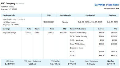 Pay Stub for Self Employed