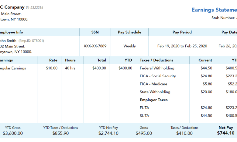 Pay Stub for Self Employed