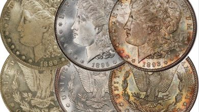 Rare Silver Dollars: Why New Coin Collectors Have to Have Them