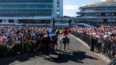 Why Horse Racing Is More Than Just a Sport